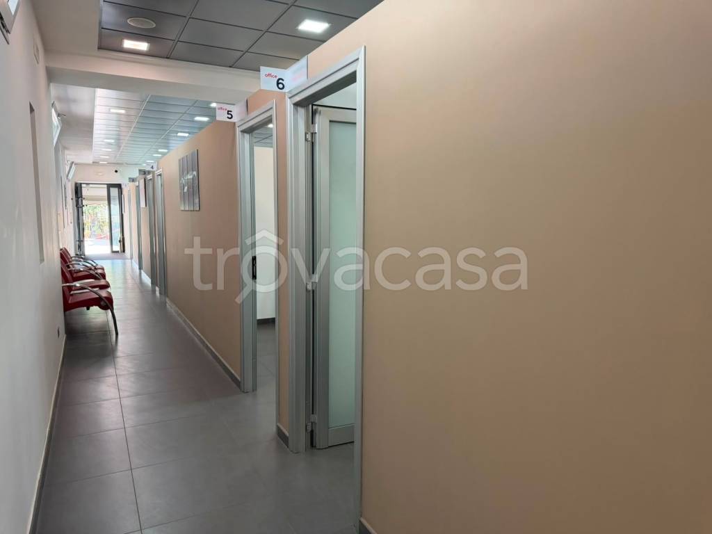 immagine annuncio 10 di 12