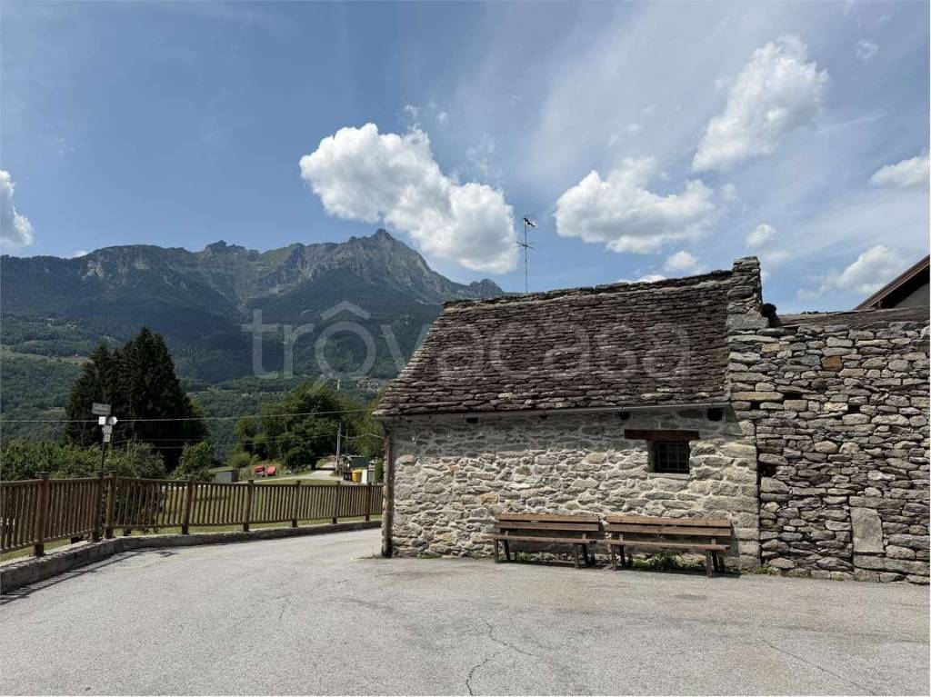 immagine annuncio 2 di 14