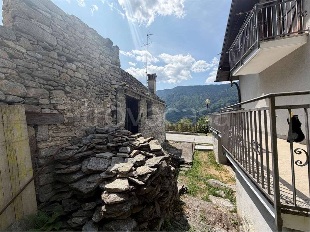 immagine annuncio 4 di 14