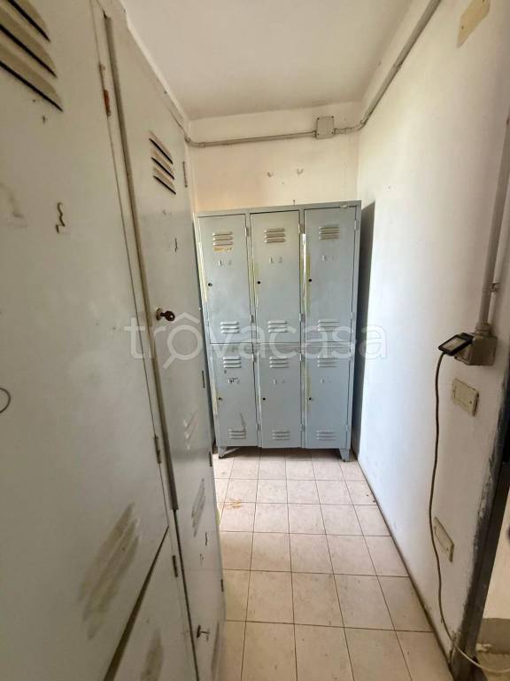 immagine annuncio 9 di 12