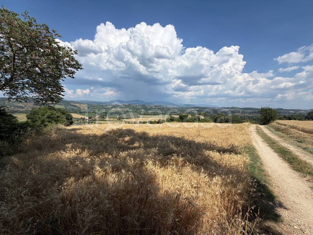 immagine annuncio 6 di 9