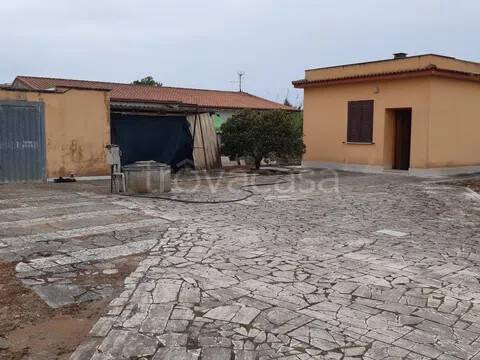 immagine annuncio 3 di 6