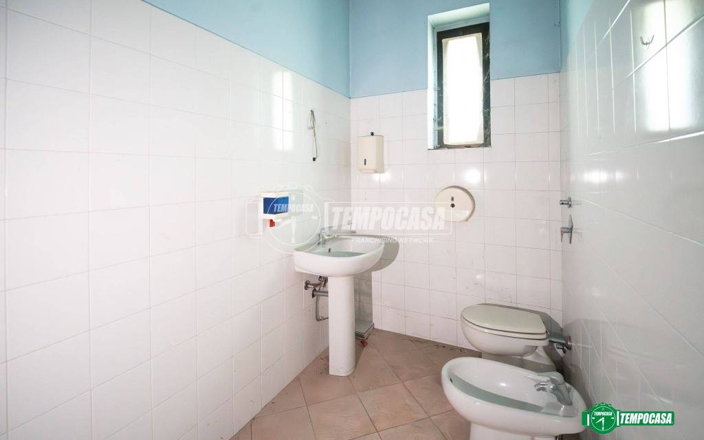 immagine annuncio 9 di 14