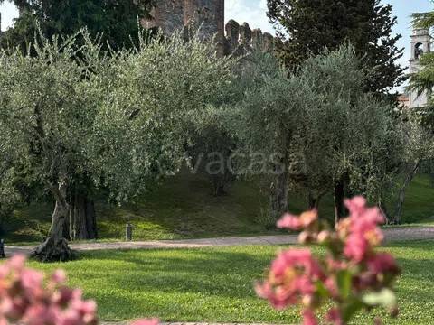 immagine annuncio 10 di 14