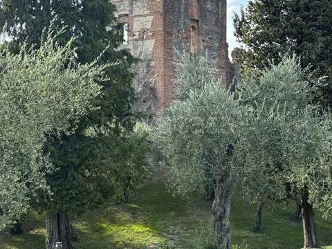 immagine annuncio 13 di 14