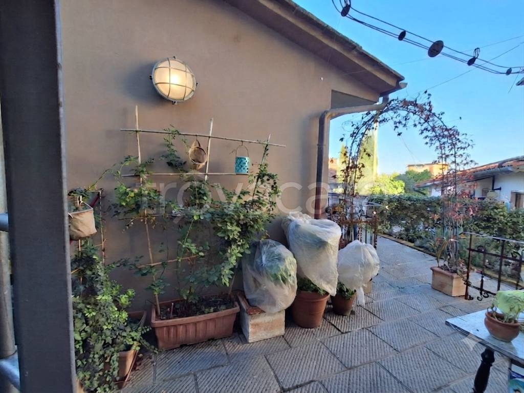 immagine annuncio 9 di 13