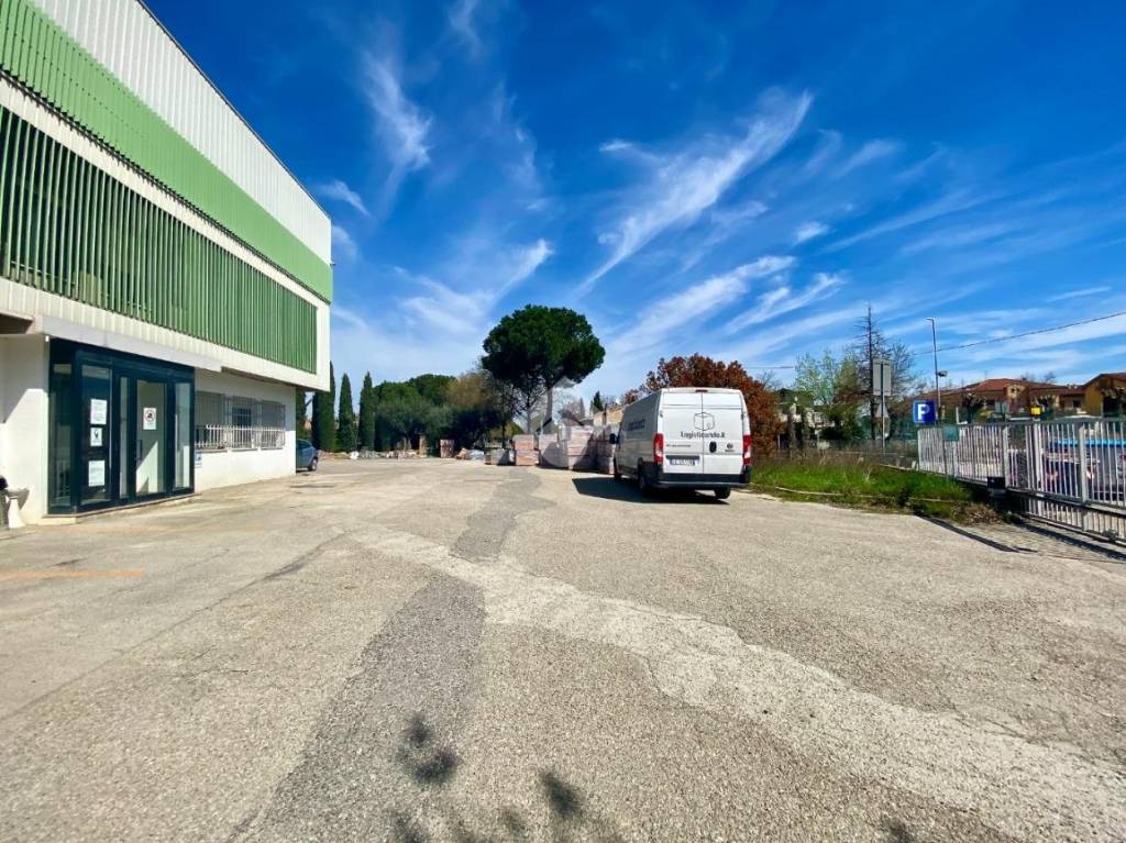 immagine annuncio 10 di 15