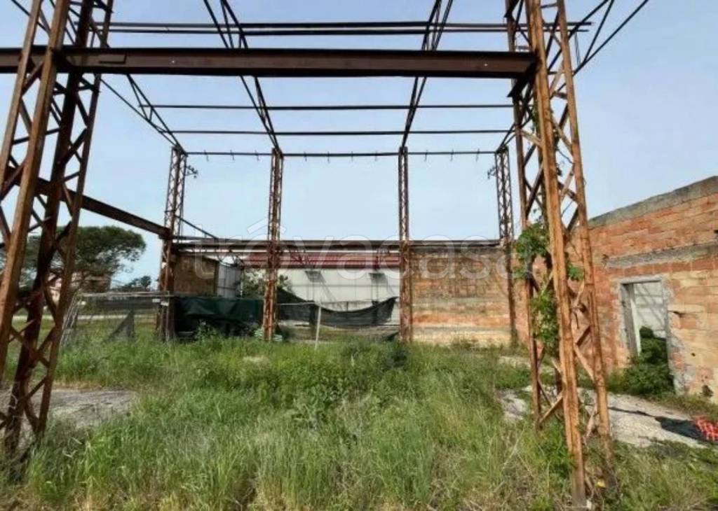 immagine annuncio 9 di 11