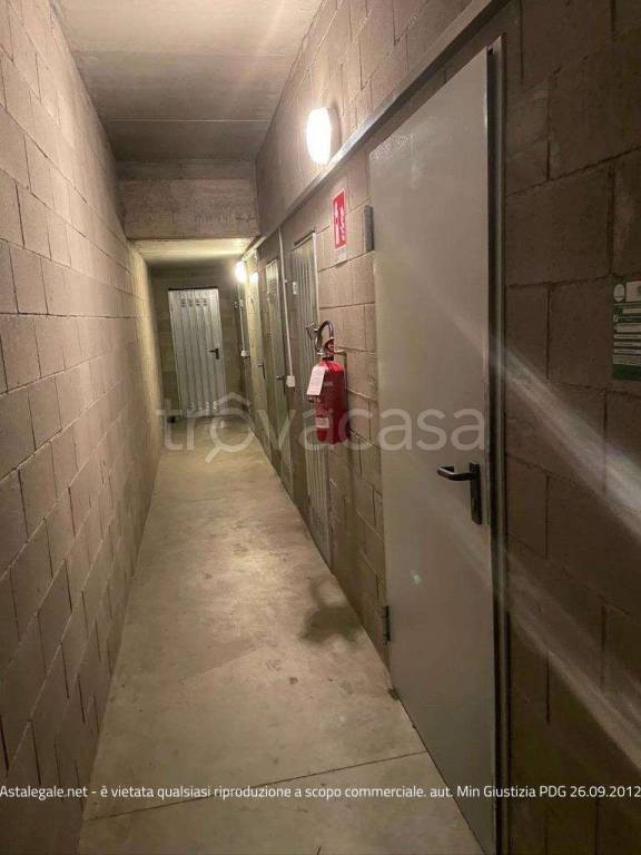 immagine annuncio 11 di 15