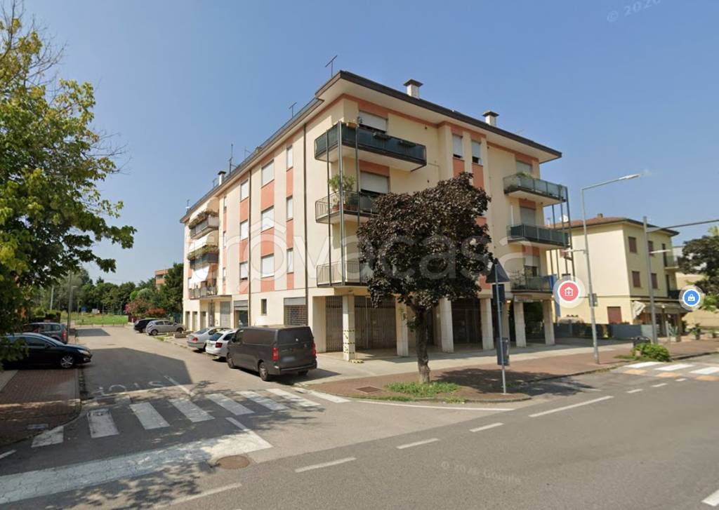 immagine annuncio 5 di 15