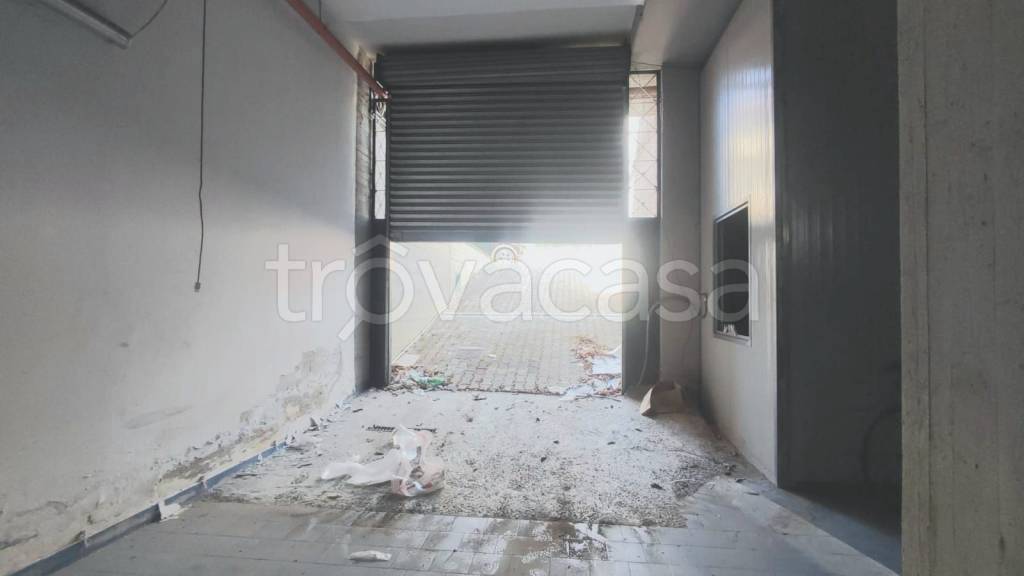 immagine annuncio 12 di 14