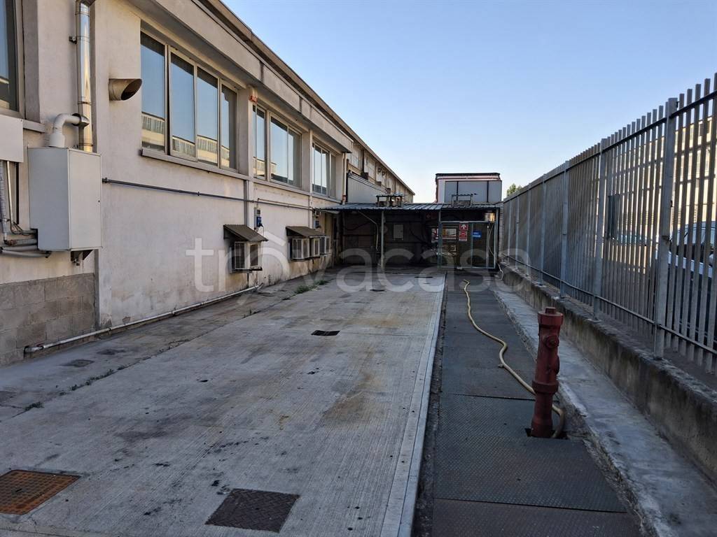 immagine annuncio 10 di 12