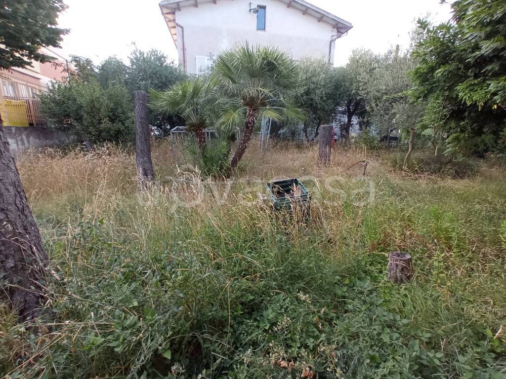 immagine annuncio 4 di 9