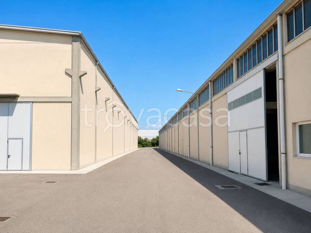 immagine annuncio 5 di 8