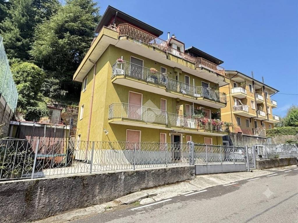 immagine annuncio 1 di 12