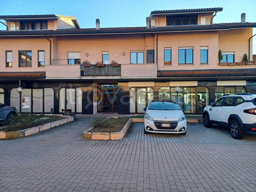 immagine annuncio 1 di 14