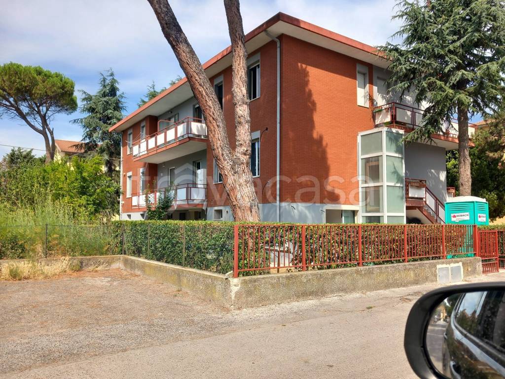 immagine annuncio 4 di 11