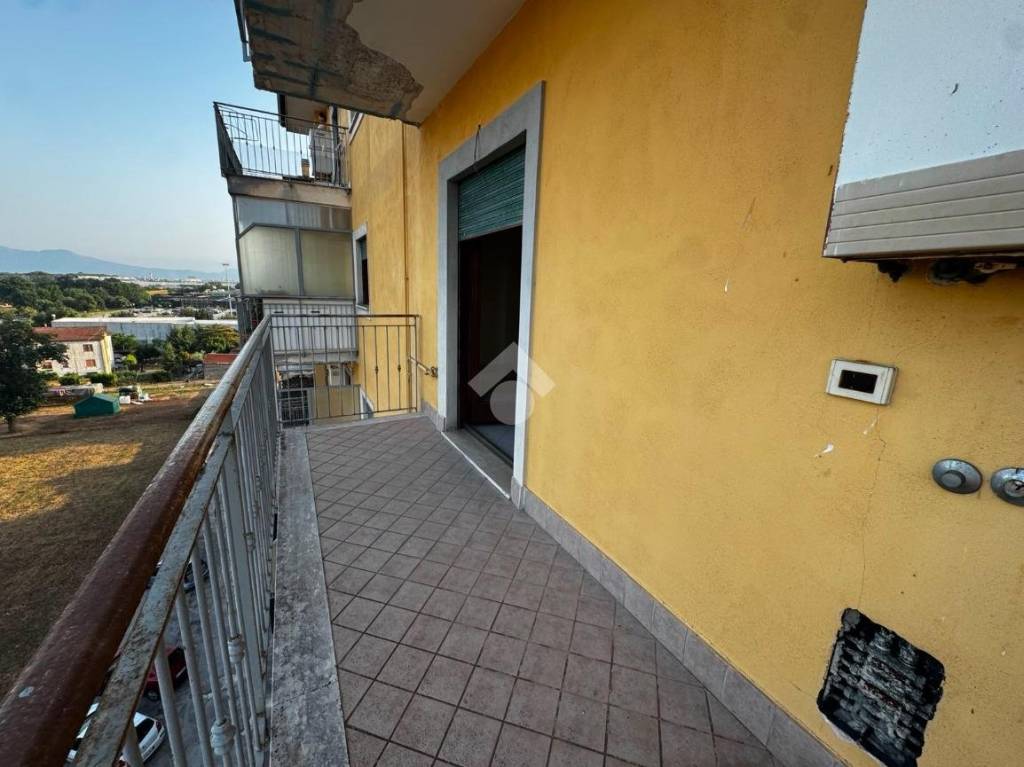 immagine annuncio 11 di 14