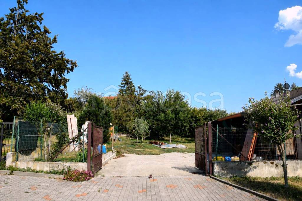 immagine annuncio 6 di 11