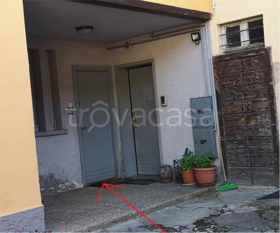 immagine annuncio 4 di 14