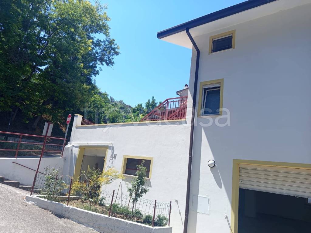 immagine annuncio 11 di 13
