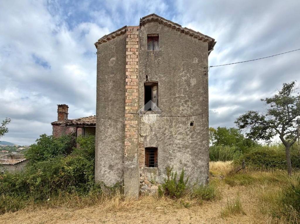 immagine annuncio 7 di 11