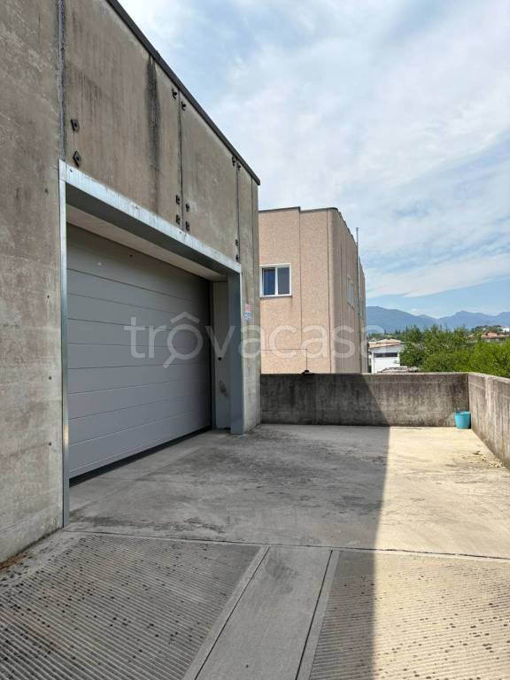 immagine annuncio 4 di 8