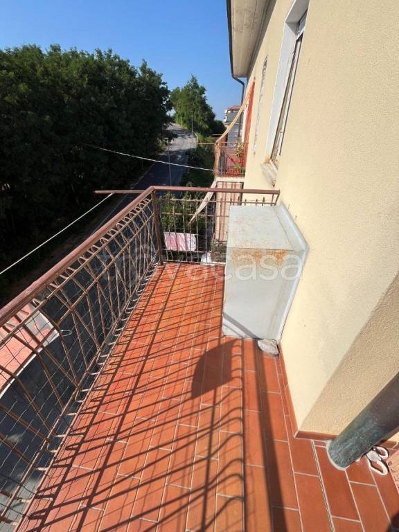 immagine annuncio 11 di 14