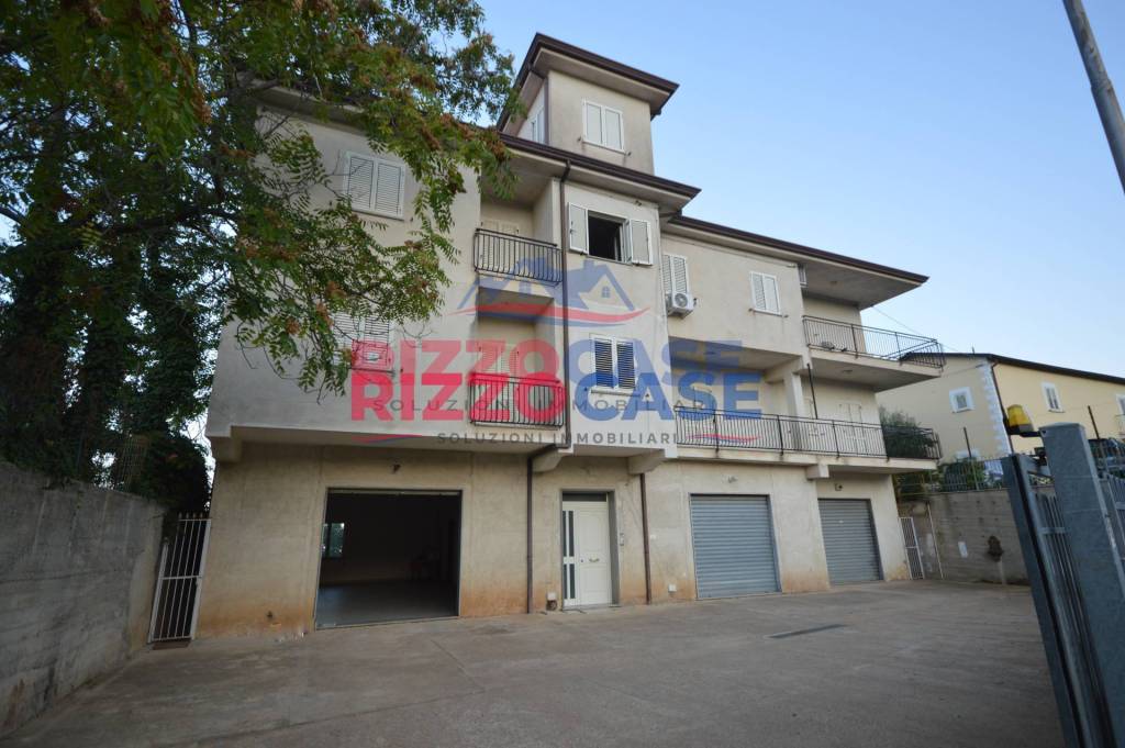 immagine annuncio 12 di 14