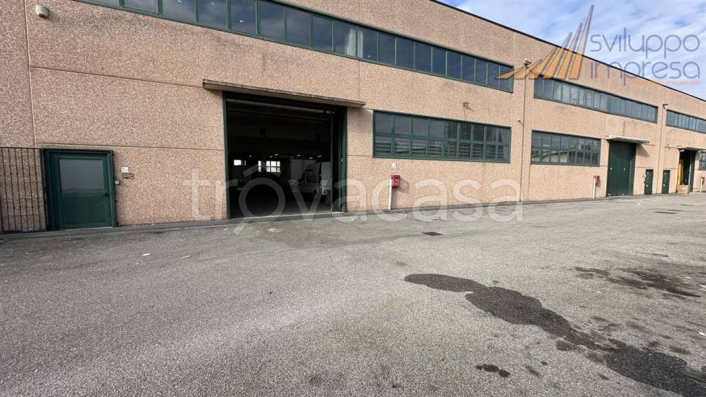 immagine annuncio 7 di 10