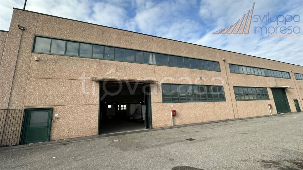immagine annuncio 8 di 10