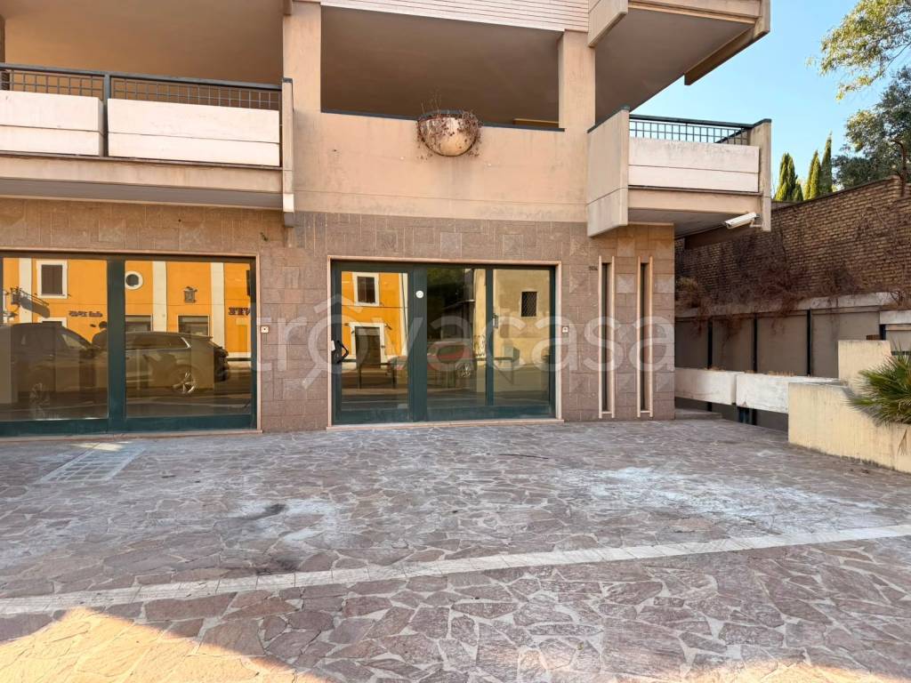 immagine annuncio 5 di 14