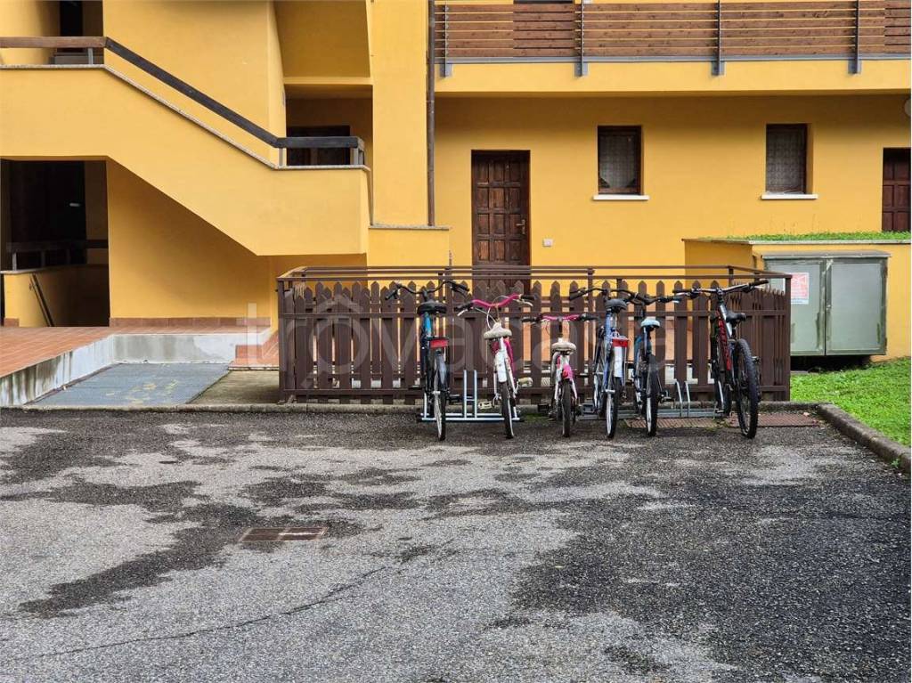 immagine annuncio 2 di 15