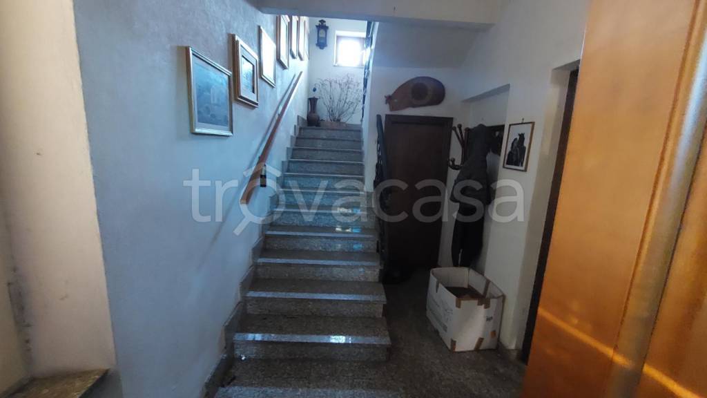 immagine annuncio 3 di 12