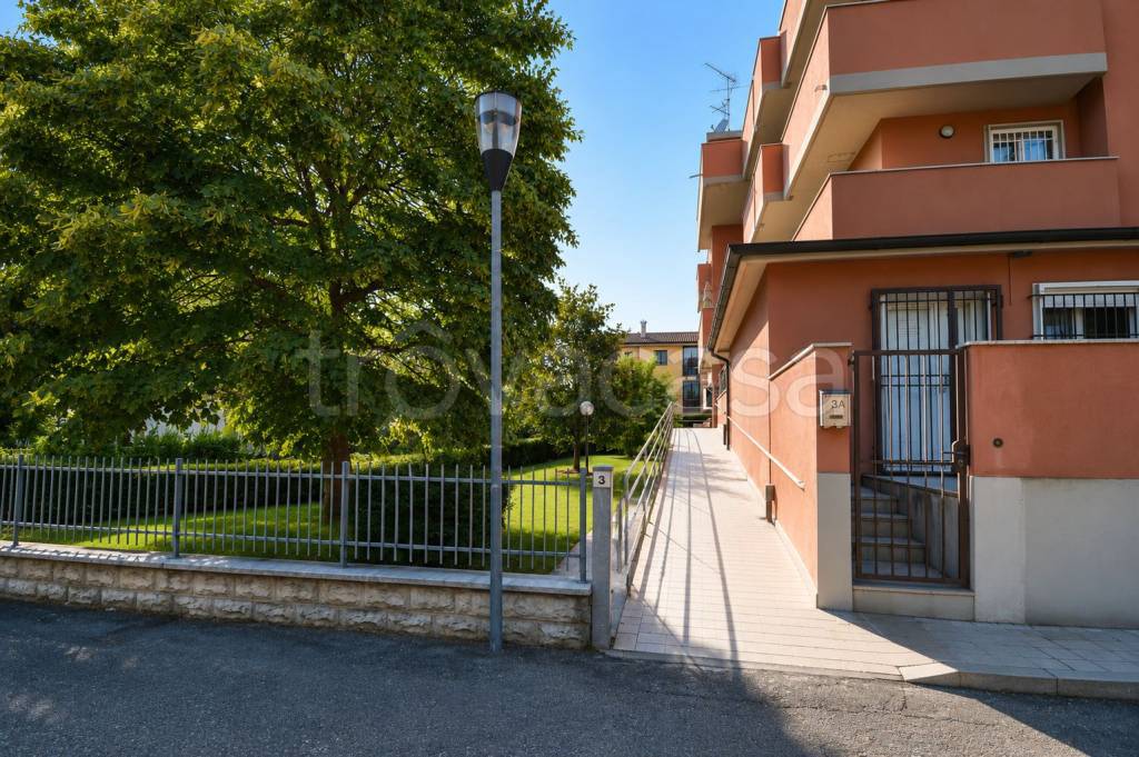 immagine annuncio 2 di 15