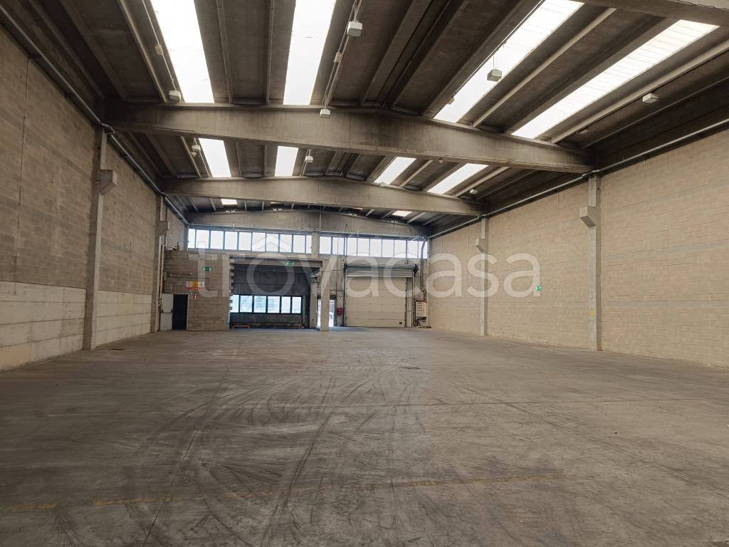 immagine annuncio 4 di 12