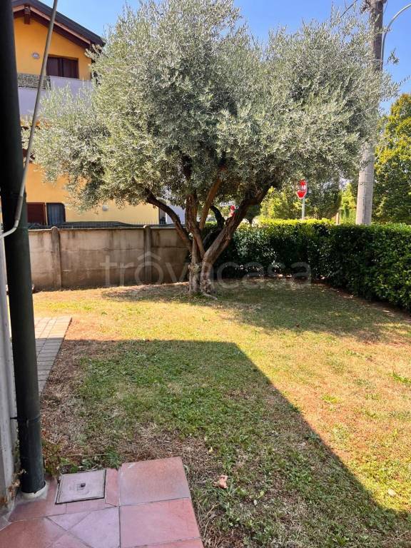 immagine annuncio 9 di 11