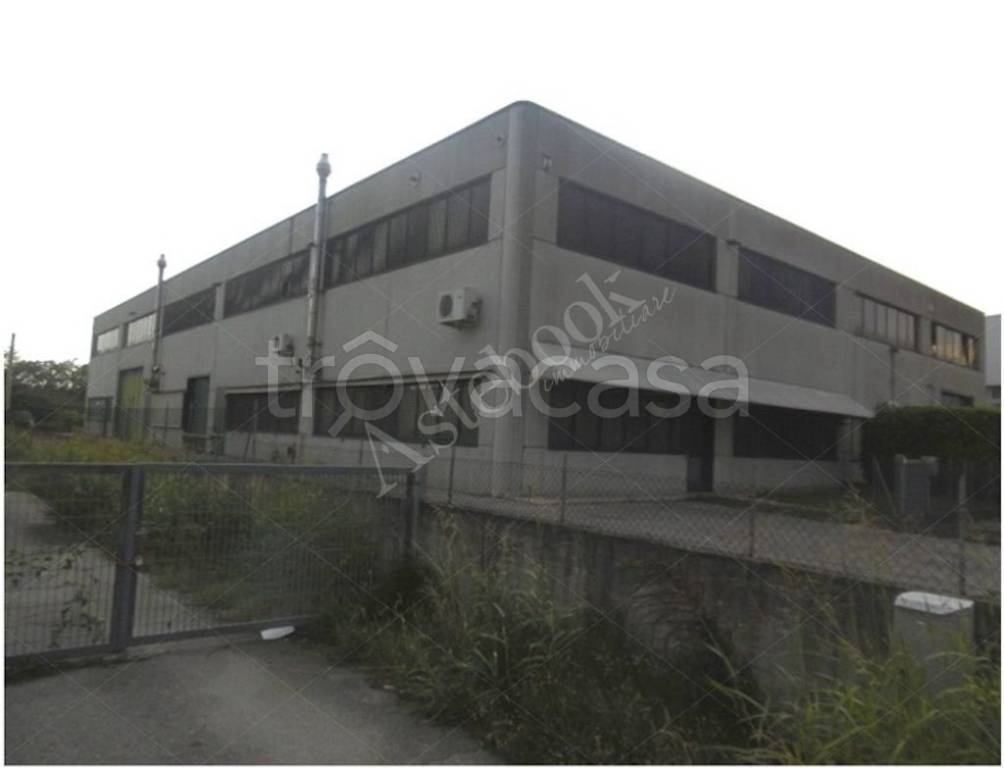 immagine annuncio 6 di 8