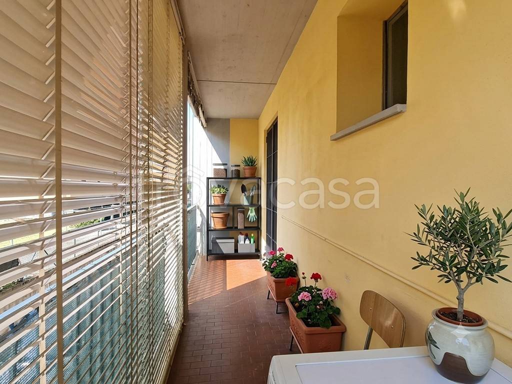 immagine annuncio 3 di 14