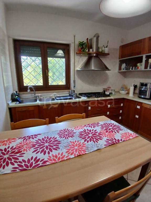 immagine annuncio 7 di 11