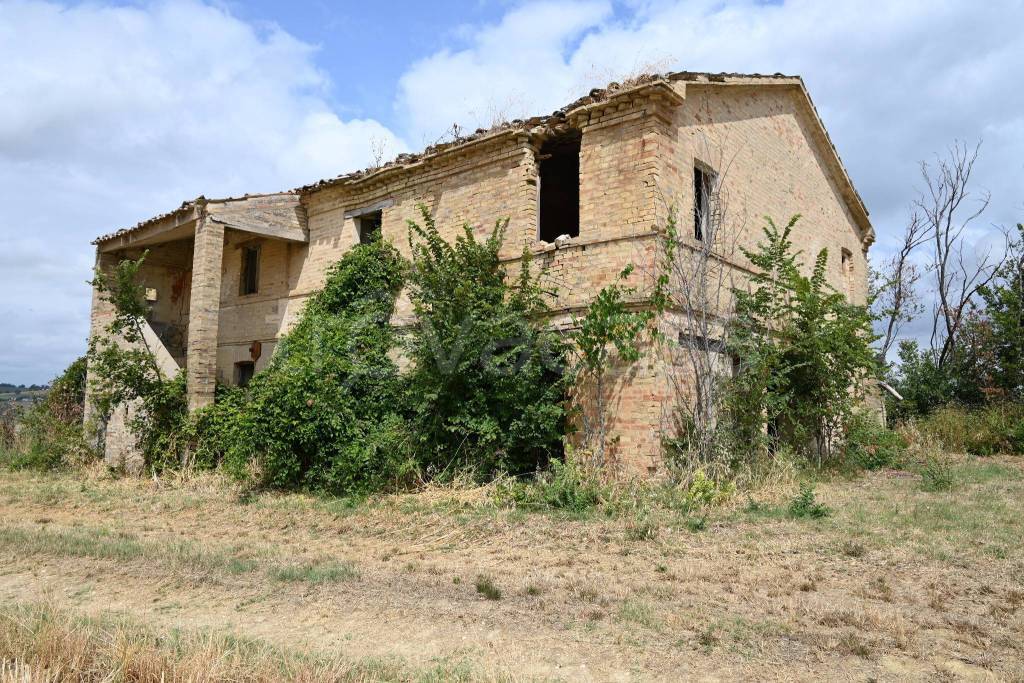 immagine annuncio 1 di 6