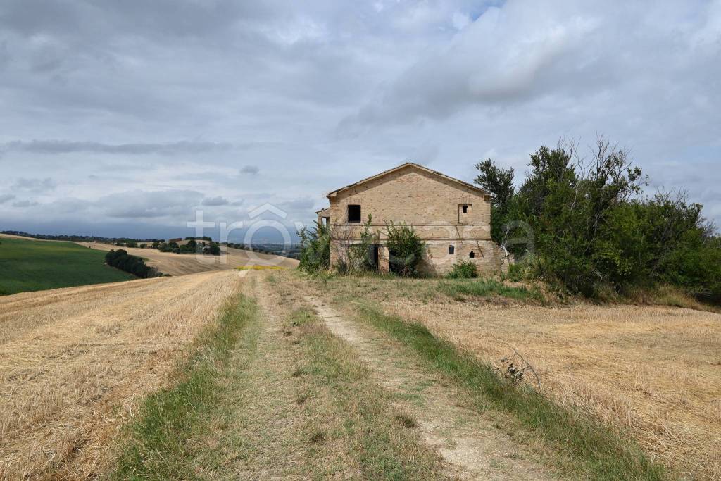 immagine annuncio 3 di 6