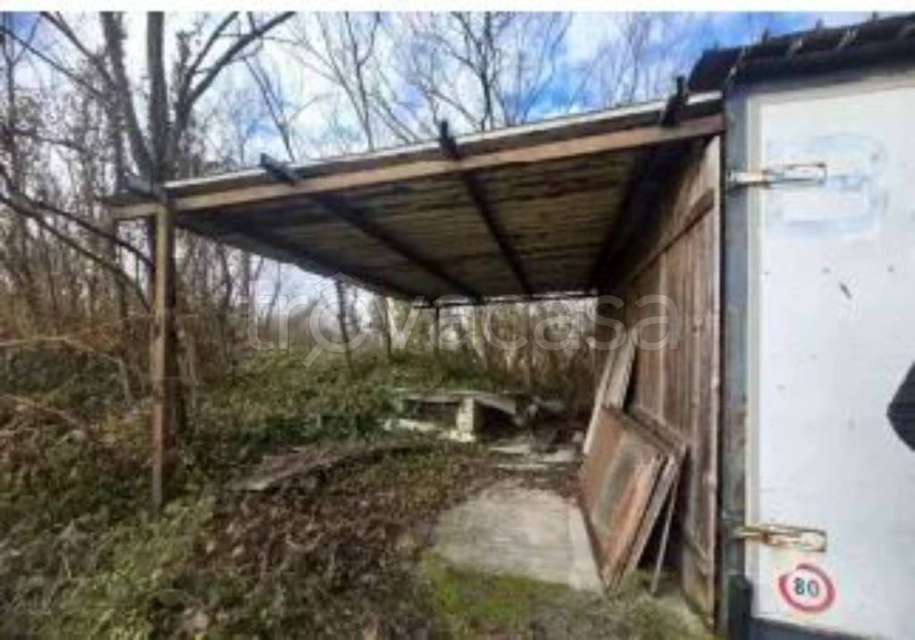 immagine annuncio 5 di 12