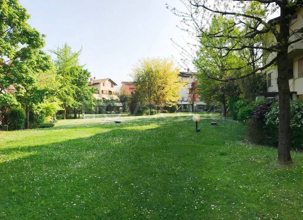 immagine annuncio 5 di 7