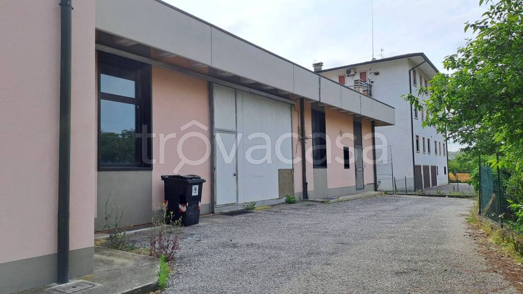 immagine annuncio 9 di 12