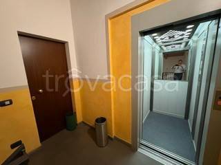 immagine annuncio 12 di 14