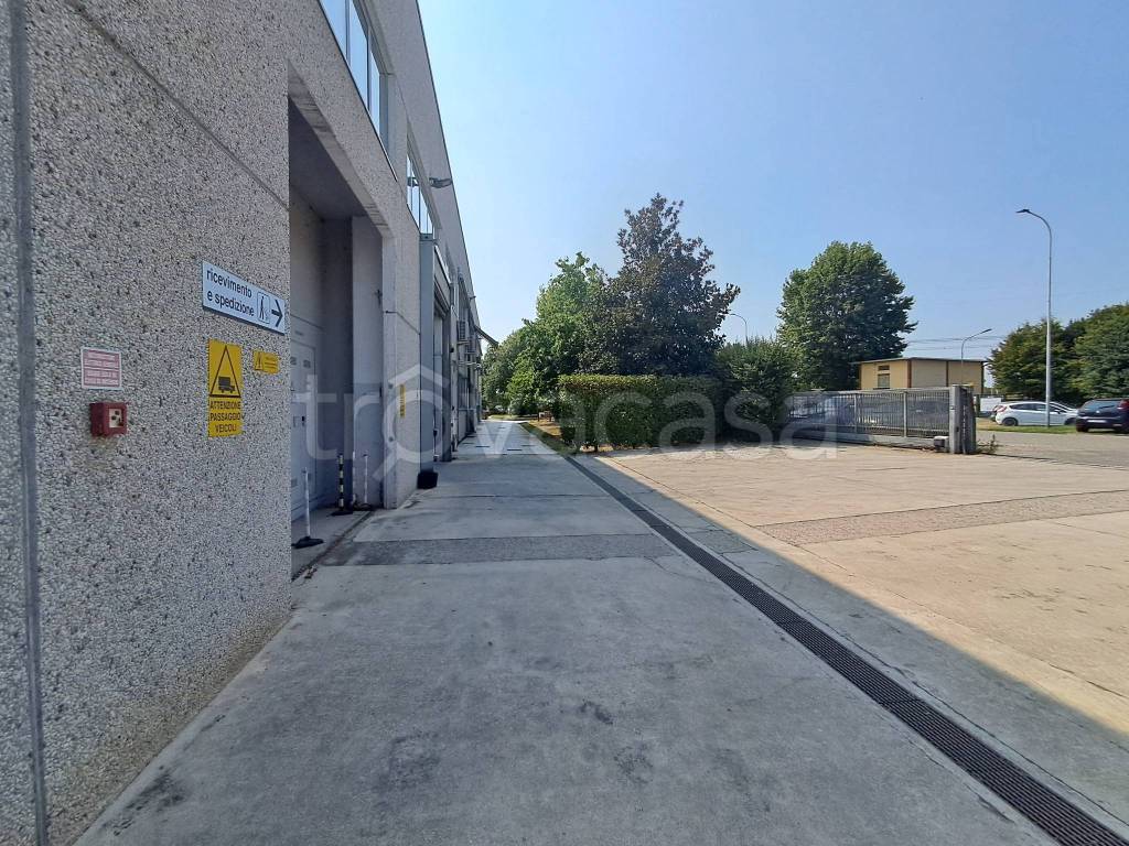 immagine annuncio 9 di 15