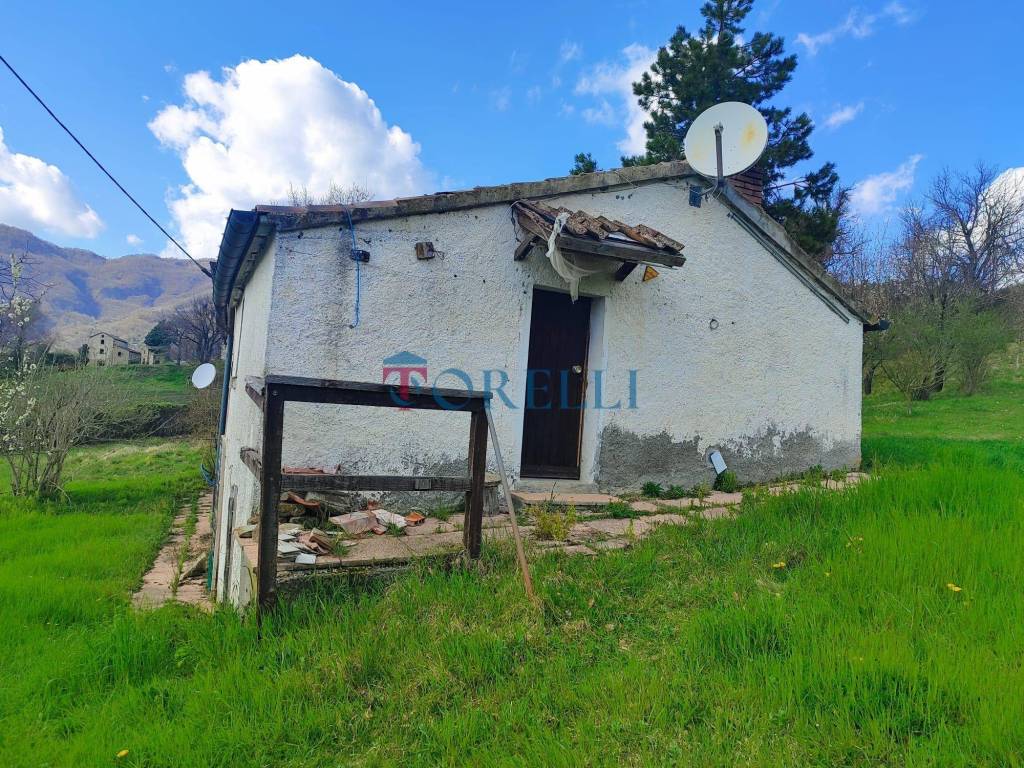 immagine annuncio 3 di 12