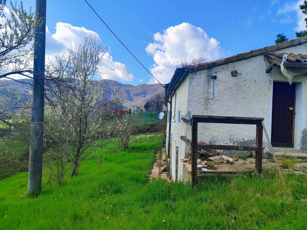 immagine annuncio 4 di 12