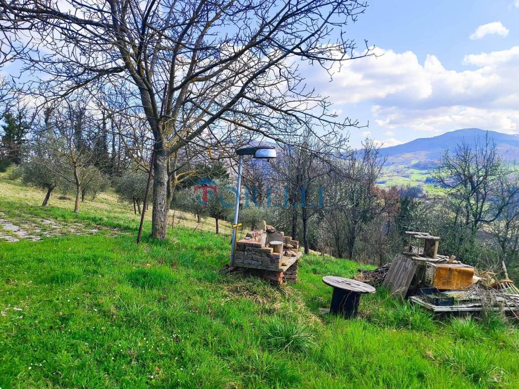 immagine annuncio 7 di 12